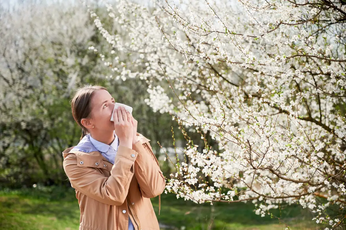 A person pauses beneath flowering branches in a spring garden.