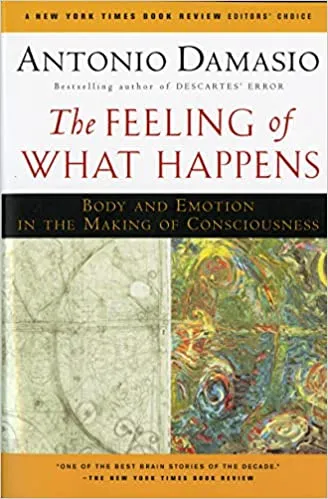 The Feeling of What Happens