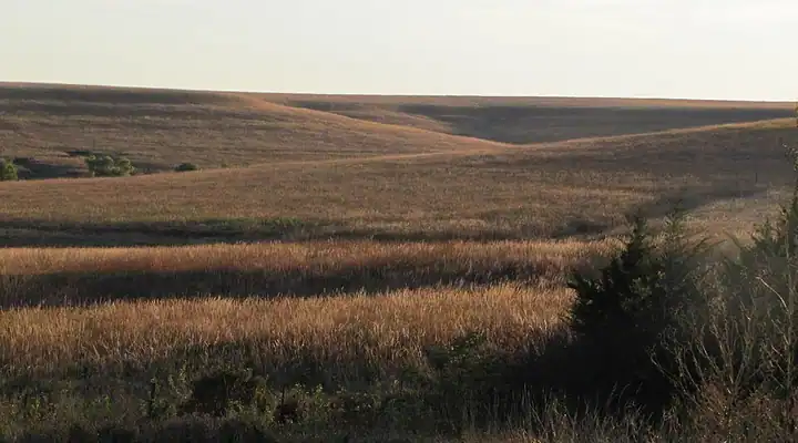 A view of Tallgrass Prairie National Preserve in Kansas