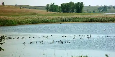 Johnson Lake National Wildlife Refuge