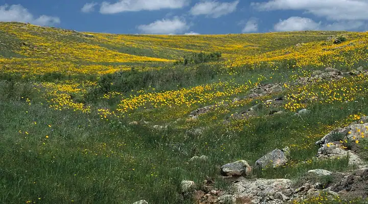 A view of Wichita Mountains Wildlife Refuge in Oklahoma