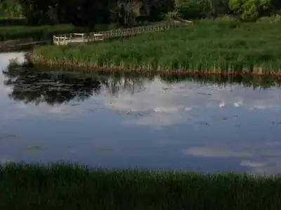 Bluff Lake Nature Center
