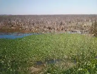 Sabine National Wildlife Refuge