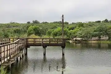 Lake Corpus Christi State Park