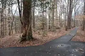 Lake Norman State Park