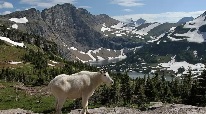 A view of Glacier National Park (U.S.) in Montana