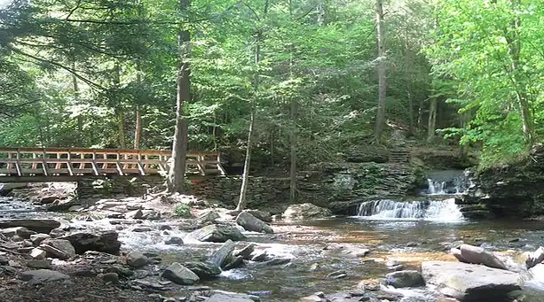 A view of Ricketts Glen State Park in Pennsylvania