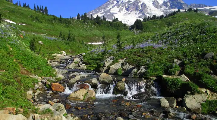 A view of Mount Rainier National Park in Washington